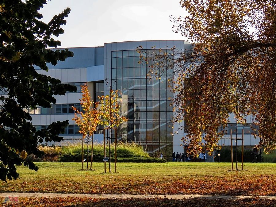 Budynek Wydziału Biologii i jeszcze kilku innych wydziałów