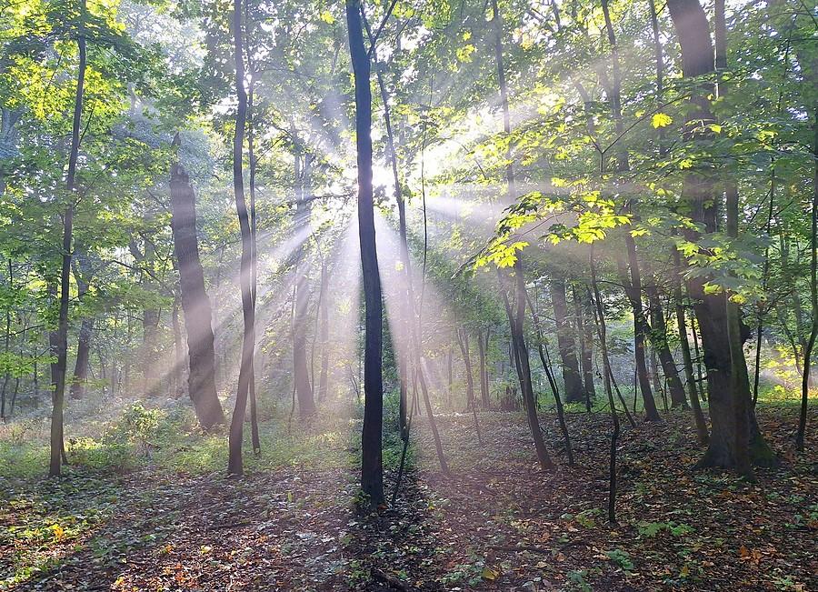 Latarnia stworzona naturą