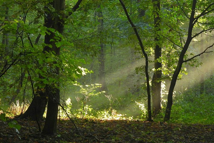 Słoneczne przebicia