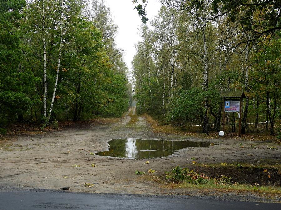 Jesienne wejście do Puszczy Wkrzańskiej.