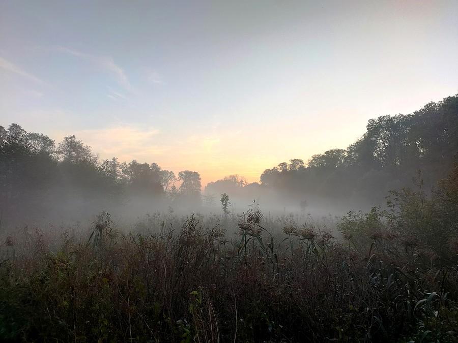 Mgła nad rzeką Główna