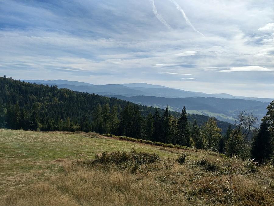 Widoczek po drodze