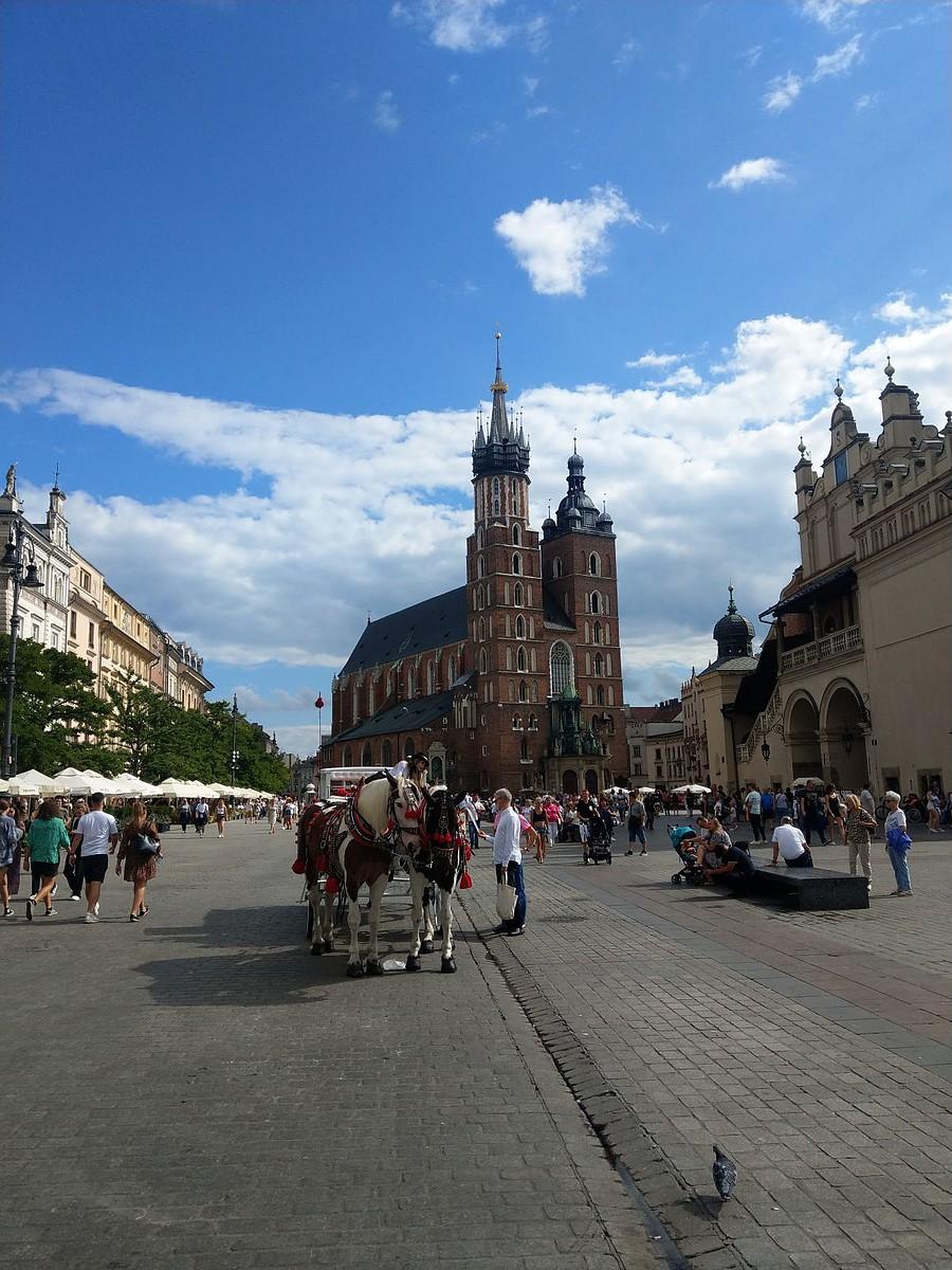 Kościół Mariacki