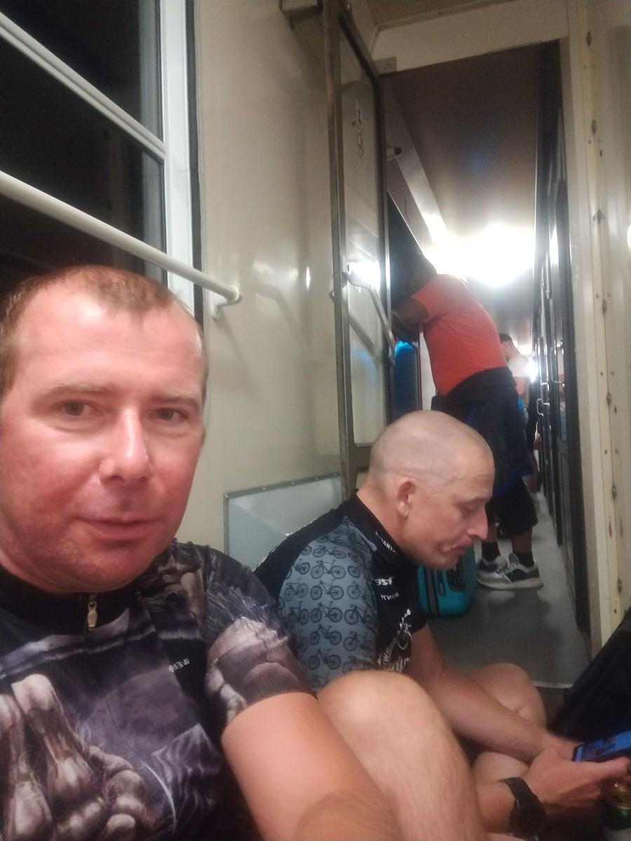 Jak śledzie w drodze powrotnej