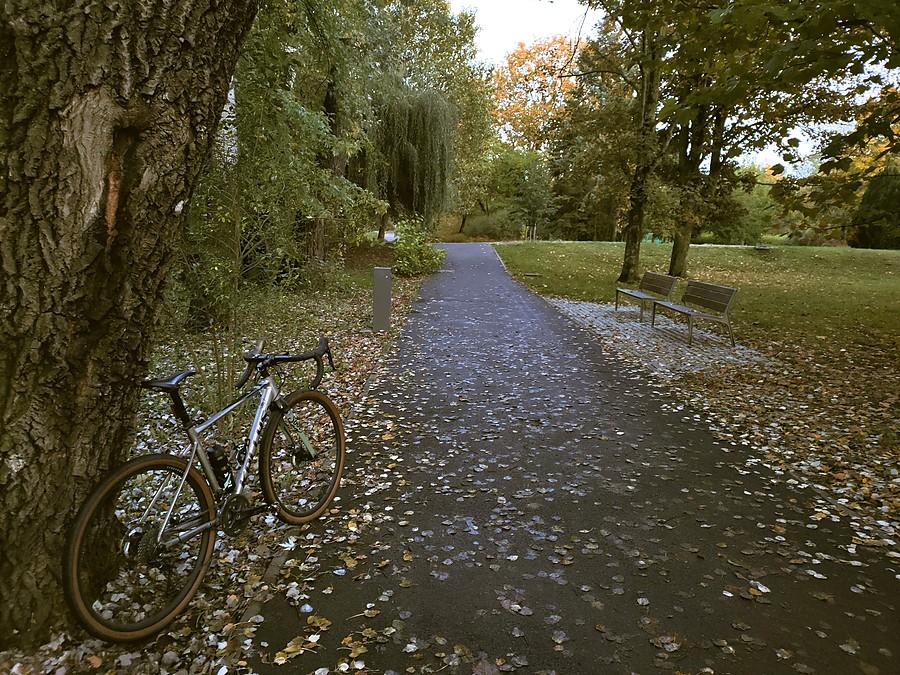 Park Wodziczki w Poznaniu
