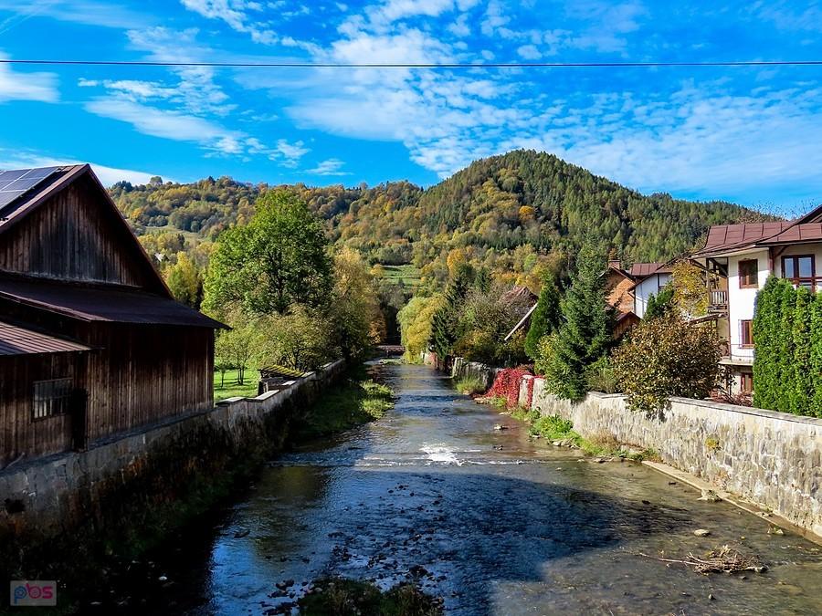 Grajcarek i Palenica