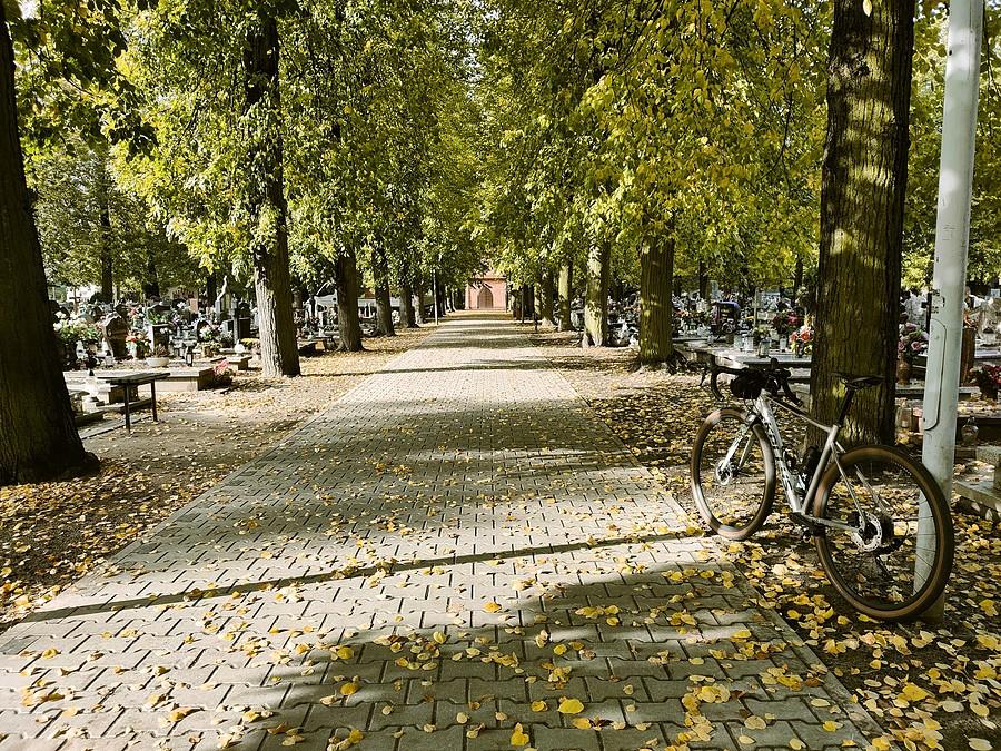 Bikegrobbing