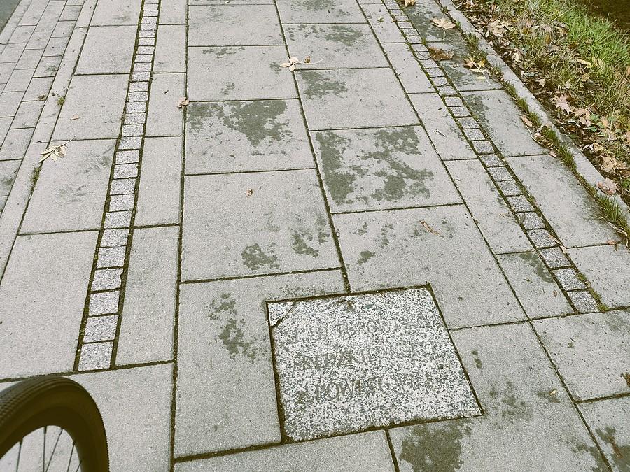 Ślad torowiska Średzkiej Kolei Powiatowej