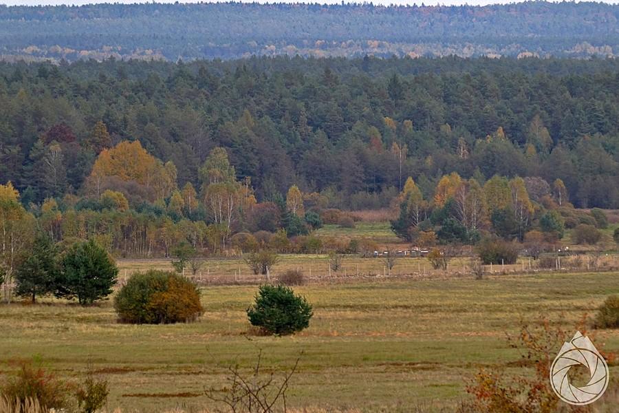 Dolina Krasnej, kieleckie