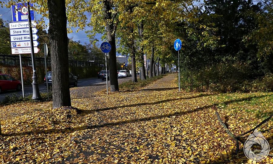 nasączony ścieżkami rowerowymi Toruń (co by nie mówić, ale miasto świetne do jazdy rowerem)