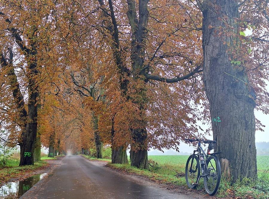 Rowerówka z Sypniewa
