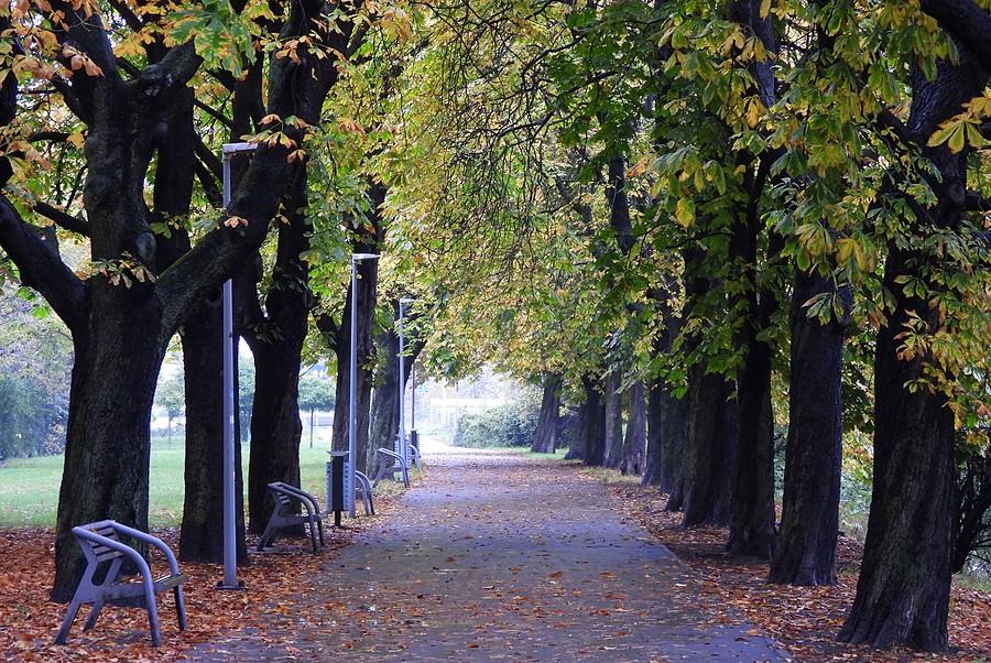 Park Mazowieckiego w Poznaniu