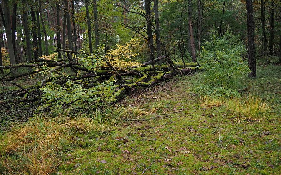 Koniec drogi