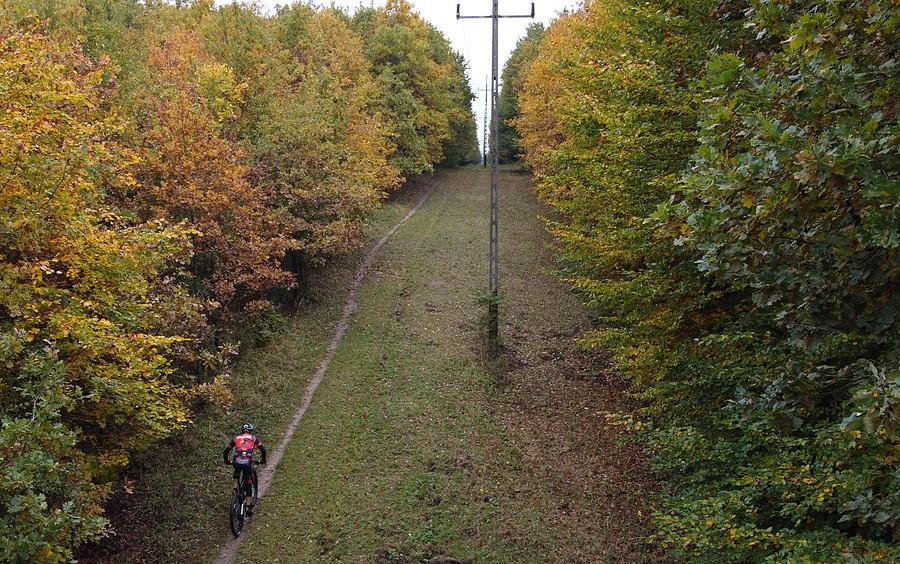 MTB-owiec i kolory jesieni