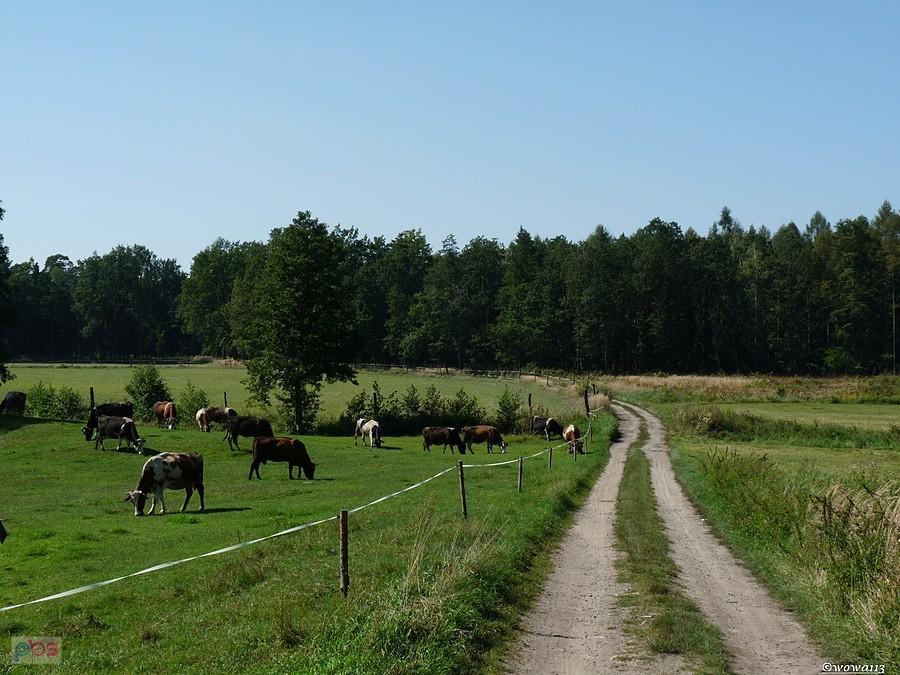 Wiejskie klimaty