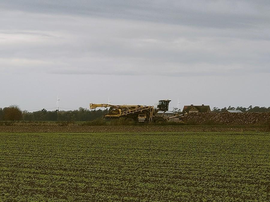 Maszyna do czyszczenia i załadunku buraków Maus