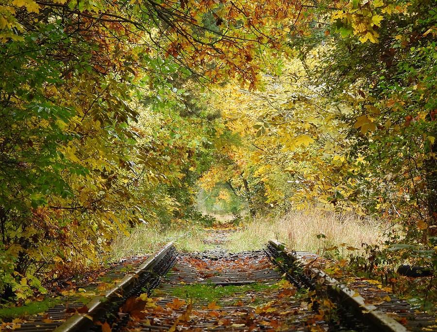 Tunel w kierunku Osowej Góry