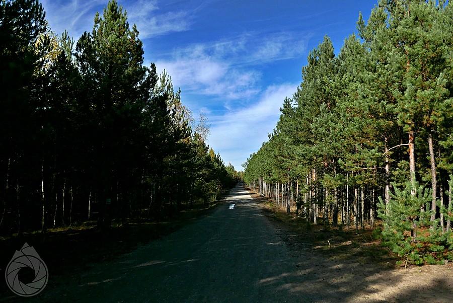 ślaczek rowerowy nad Pustynią