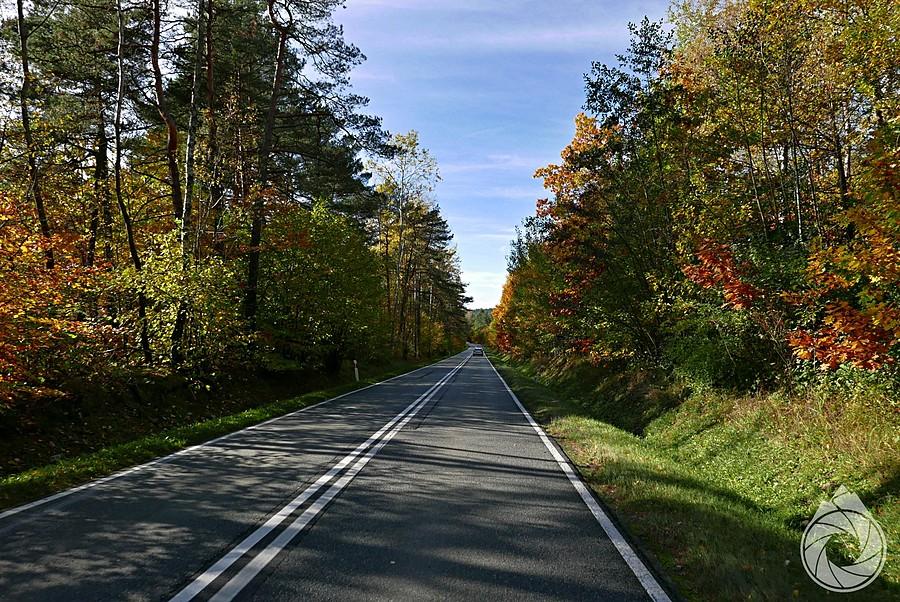 suchutkie asfalty jesiennej Sułoszowej