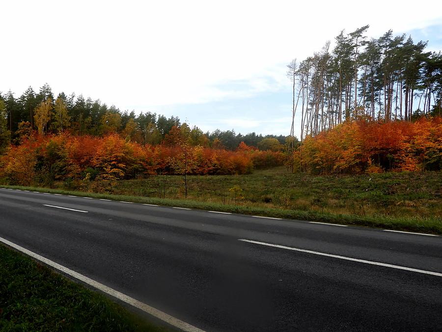 Jesień pod Tanowem.