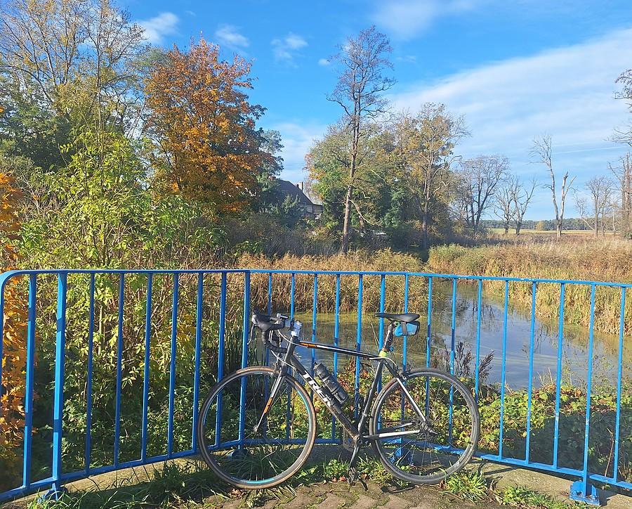 W Trzcielinie nad bagienkiem