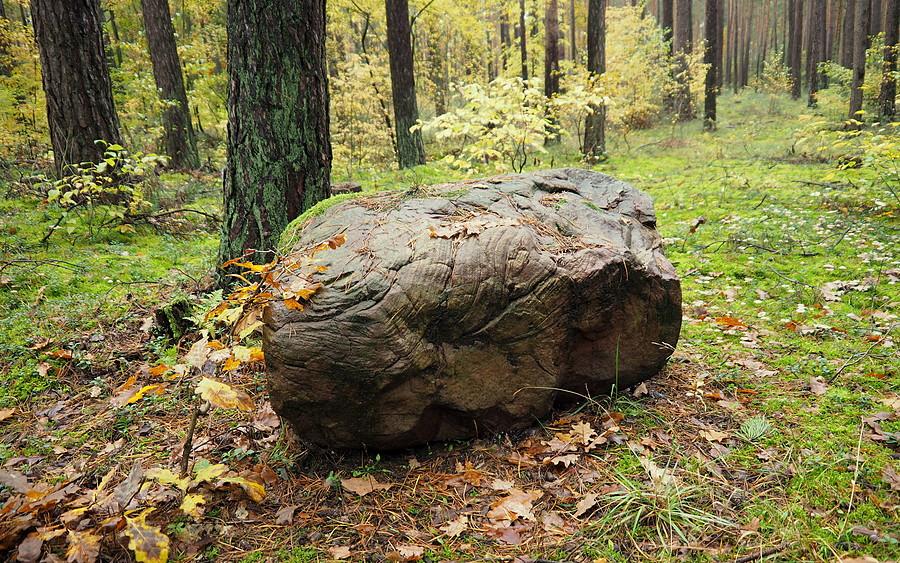 Kto to podrzucił?