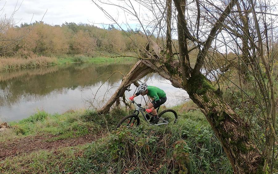 Kręte i między drzewami nadwarciańskie Pure MTB