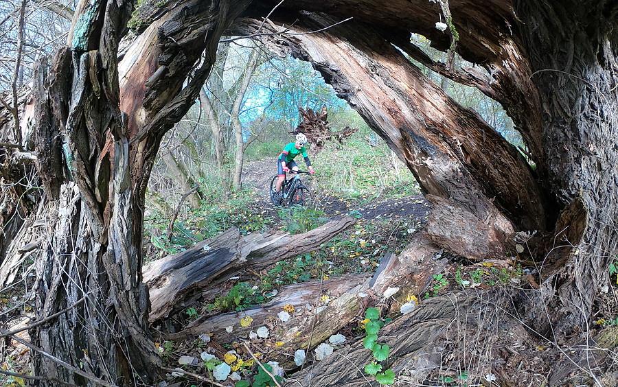 To w 100% naturalne środowisko do MTB
