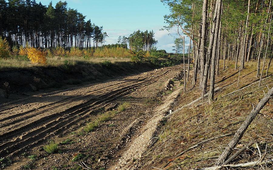Podobno na dawnym torowisku ma powstać droga dla rowerów.