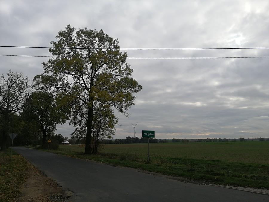 Szybkie kółeczko wokół Dobrzycy.