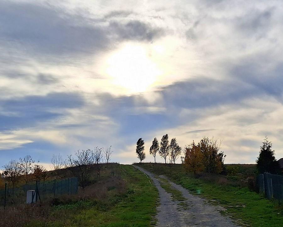 Górka na poznańskim Garaszewie
