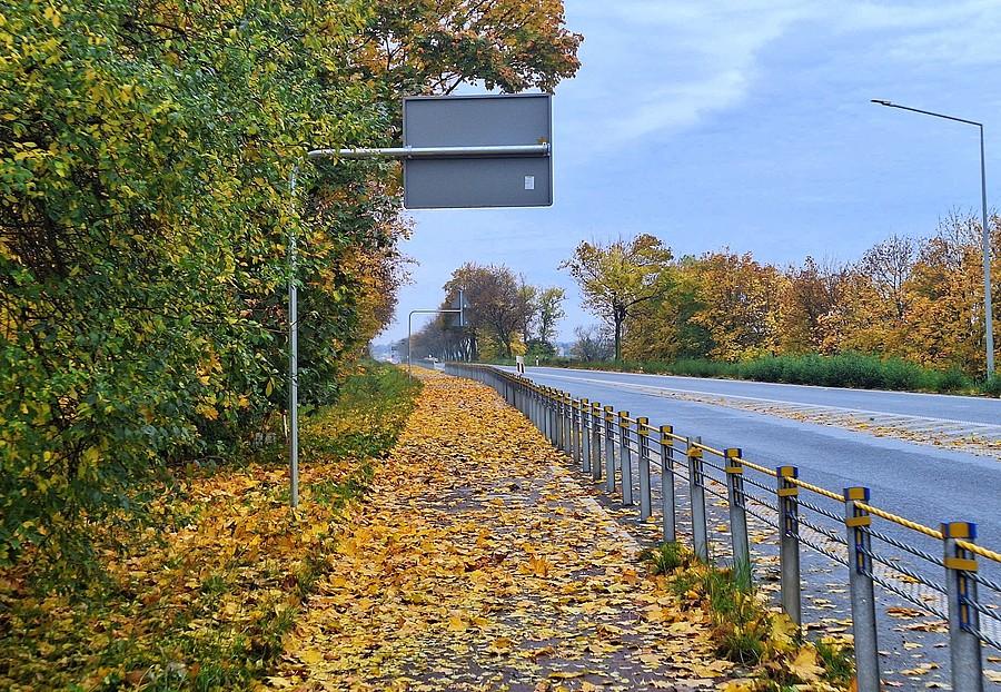Może i ładne, ale po prostu w praktyce debilne. Sadzić drzewa, zakazać śmieszek!