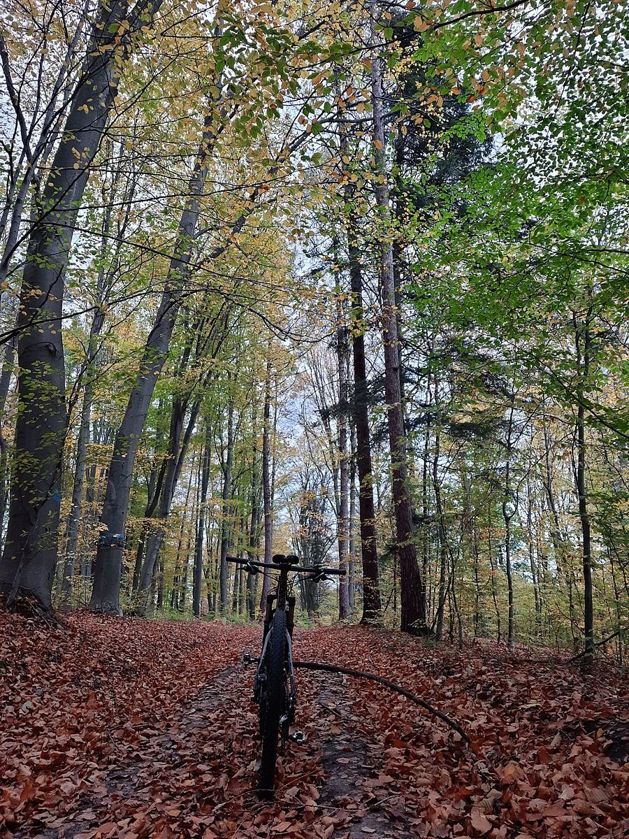 Mniej w górze, więcej pod kołami.