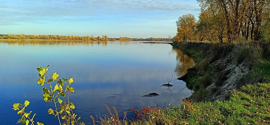 Widok na Wisłę z Kępy Dzikowskiej w Ciechocinku