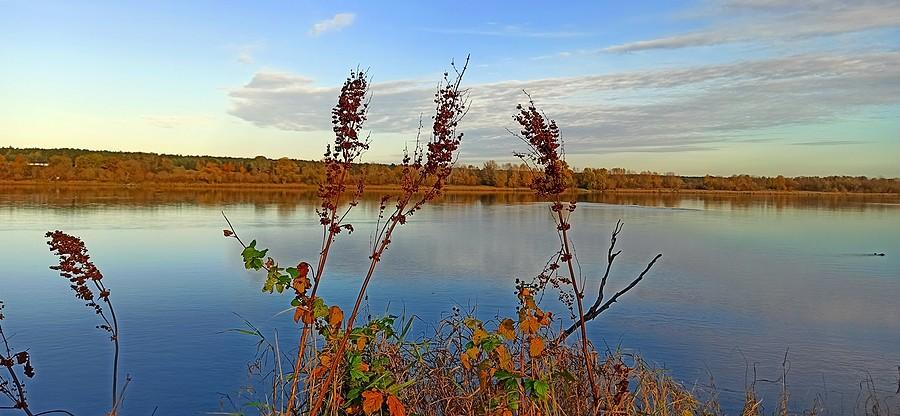 Wisła. Widok z Kępy Dzikowskiej w Ciechocinku