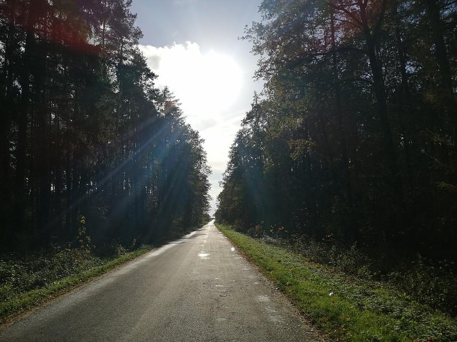 Trasa na Raszków.