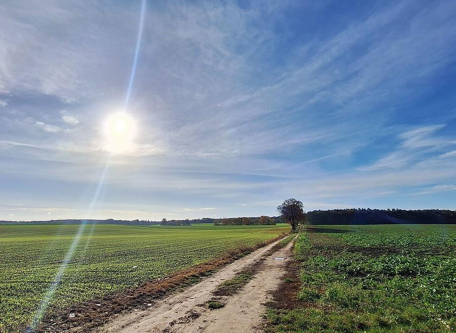Słońce nad Lisówkami