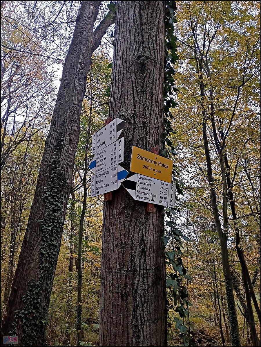Zameczny potok