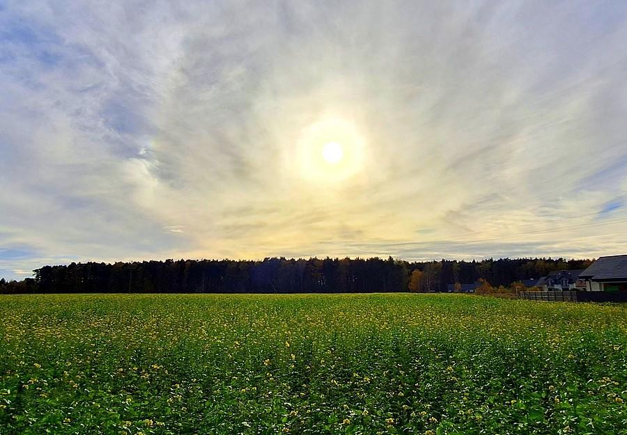 Słoneczny listopad