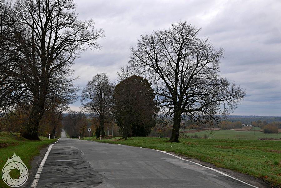 pofalowana droga z Trawników na Cyców
