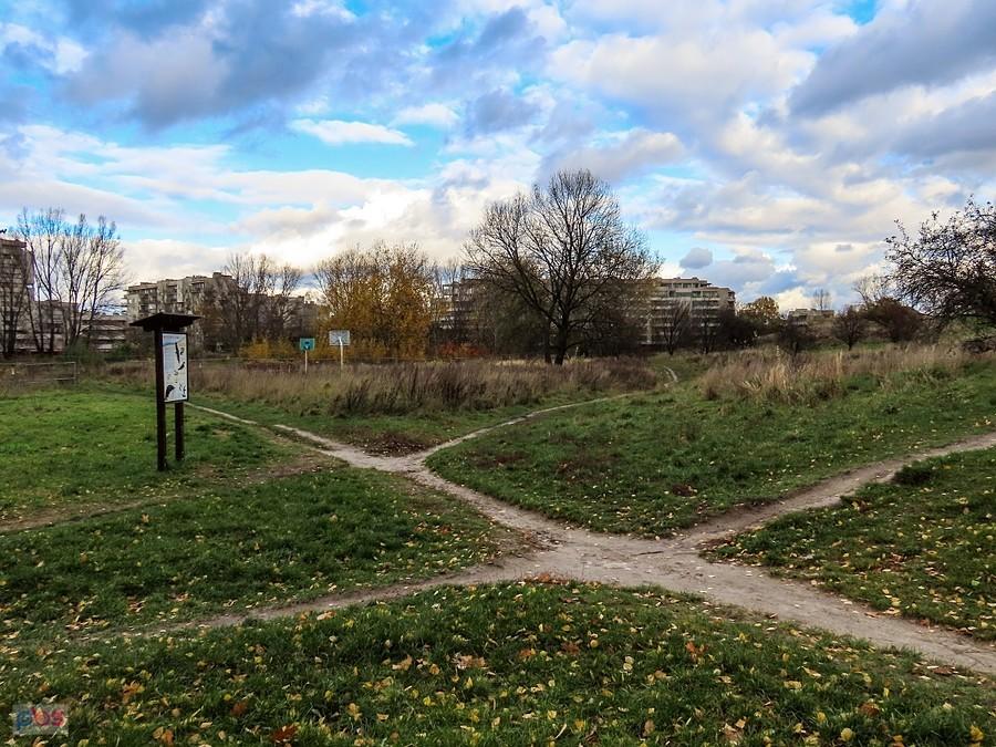Skrzyżowanie ścieżek w Parku Polskich Wynalazców