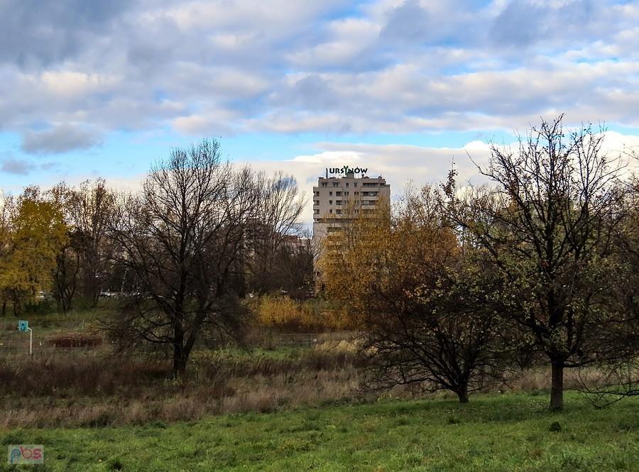 Widok z górki parkowej