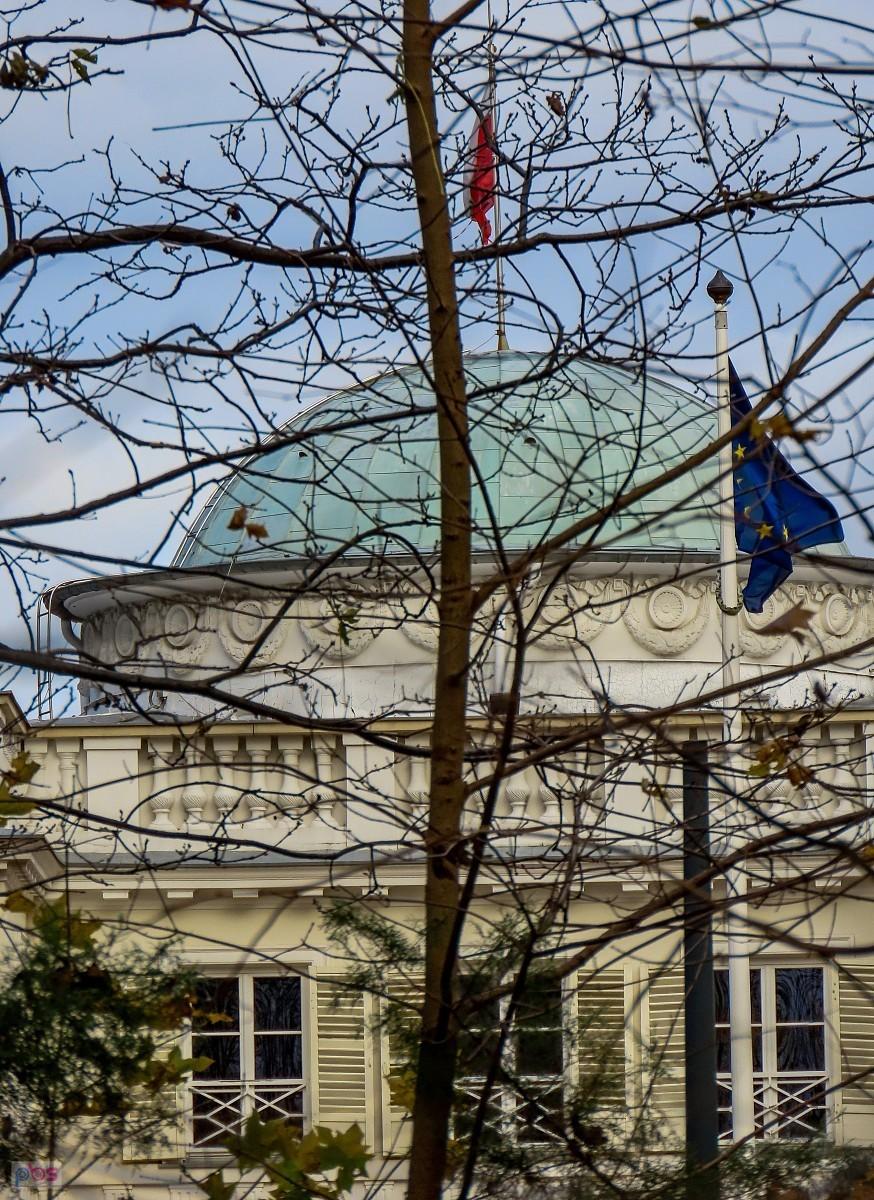 Kawałek pałacu natolińskiego zza krzaków