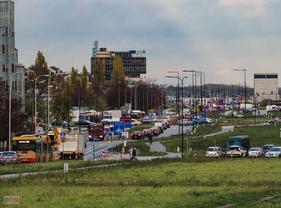 Lemingi przez Ursynów ciągną do swoich norek