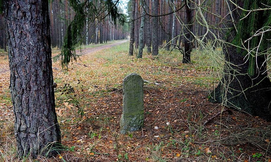 Puszczański drogowskaz, kierunek Lubiatów