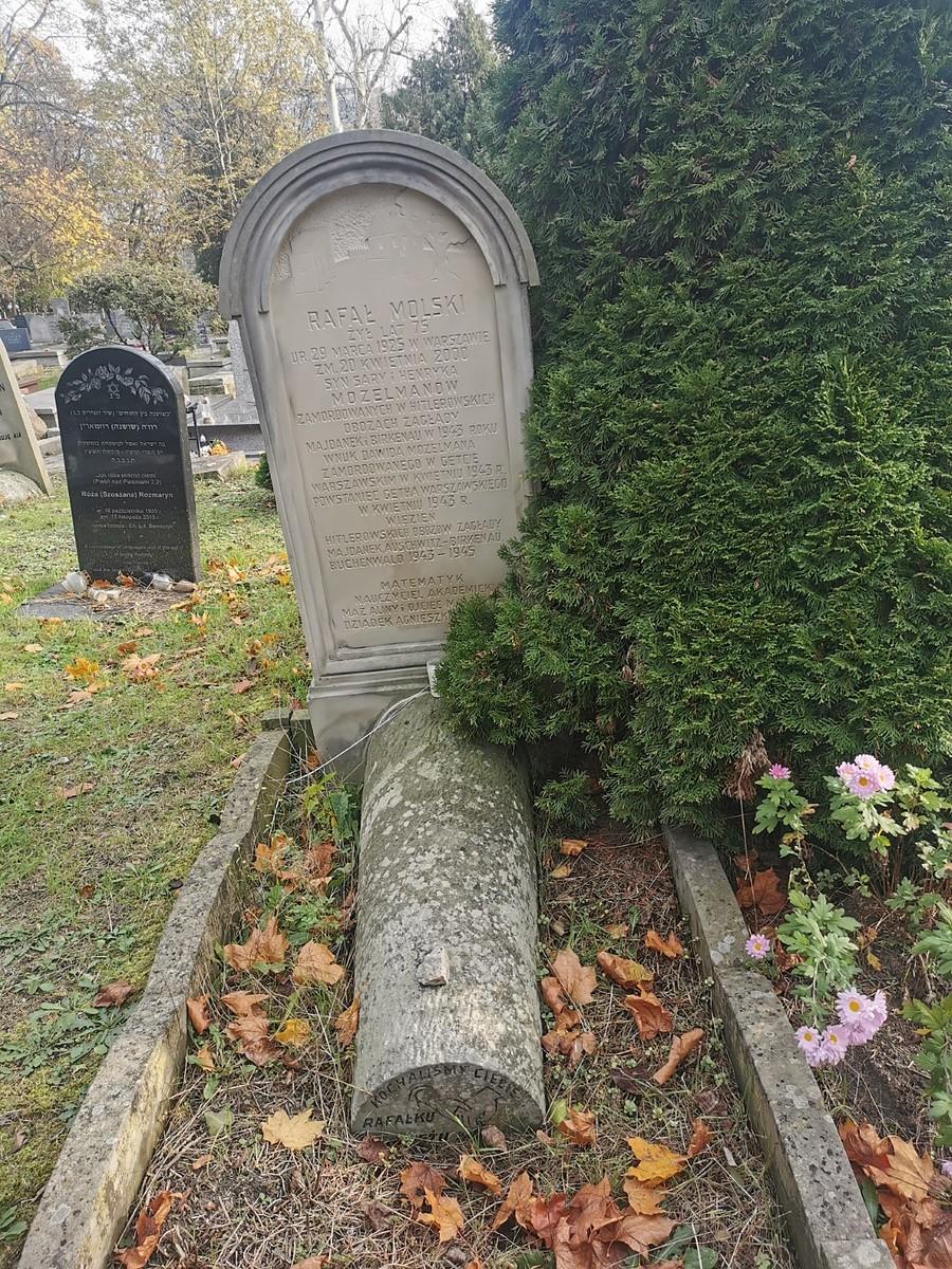 Prawie życiorys