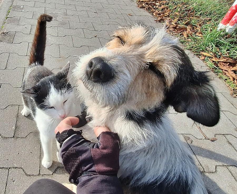 Dwa szczęśliwe pychole :)