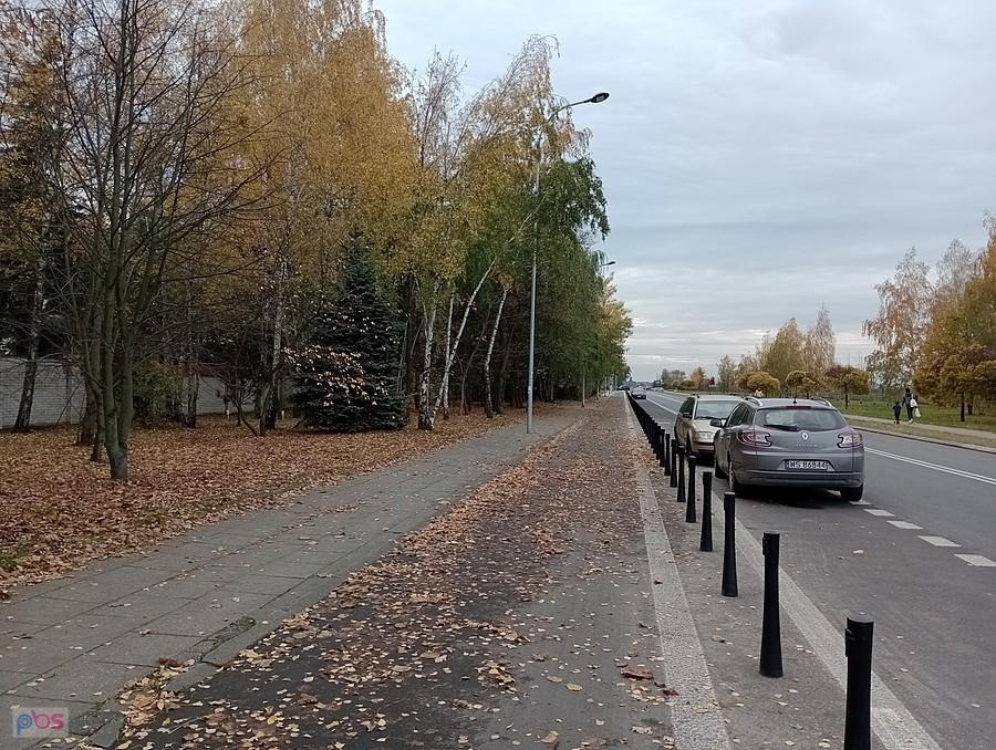 Na ddr dziś liście zamiast kałuży