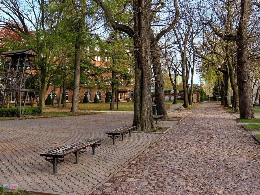 Bruk w alei kasztanowej na terenie klasztoru Dominikanów