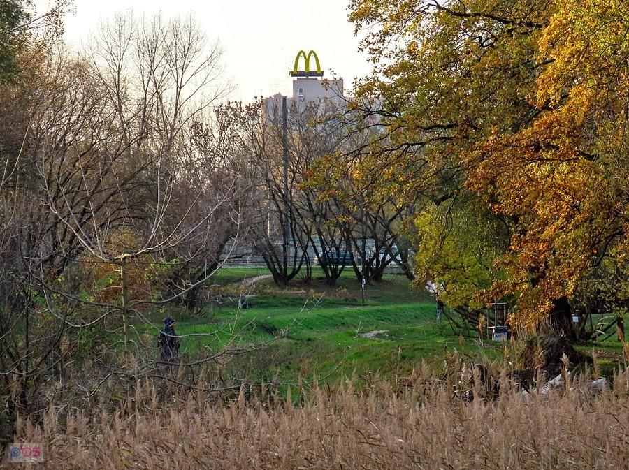 Najwyżej umiejscowiony warszawski neon McDonalda